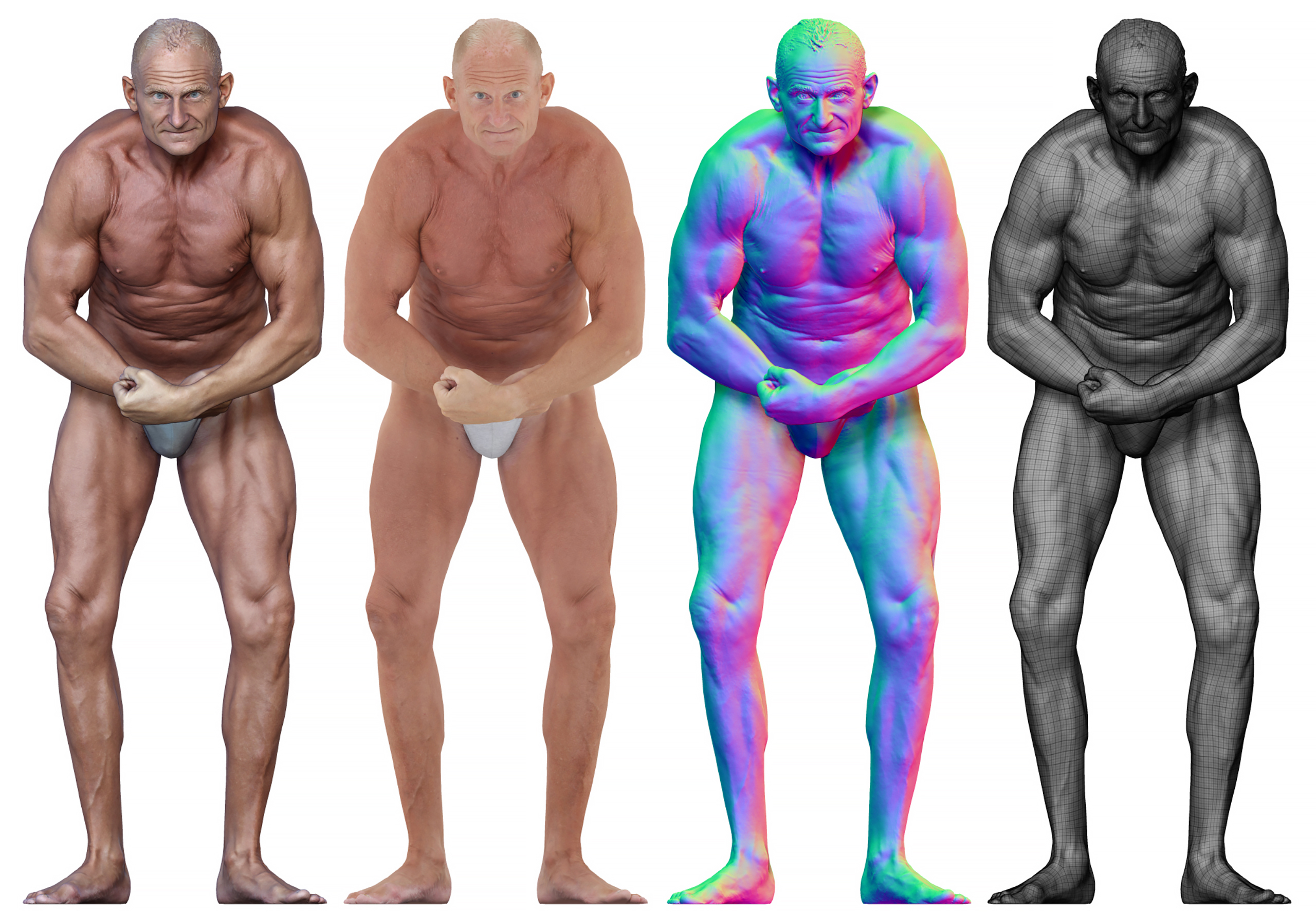 ZBrush Male Anatomy 3d reference scan shaders